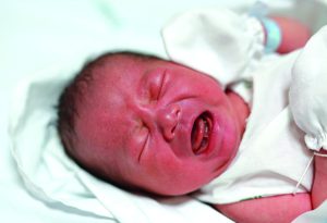 Bébé à la naissance 