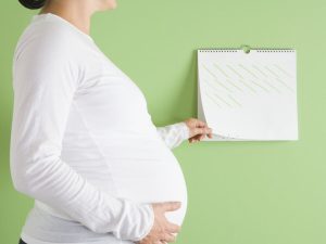 Calculer terme de grossesse