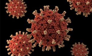 rotavirus 